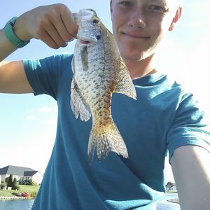 Meet your Posher, Nathanael